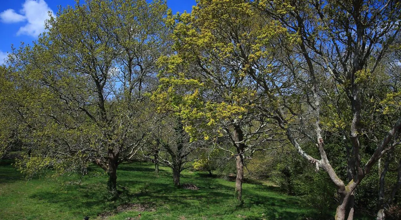 Aux Arbres Chanteurs Ploulech