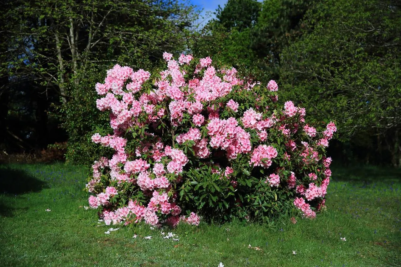 Aux Arbres Chanteurs Ploulech