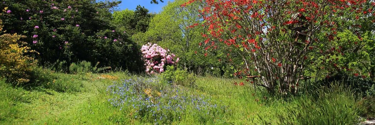Bed & Breakfast Aux Arbres Chanteurs Ploulech France
