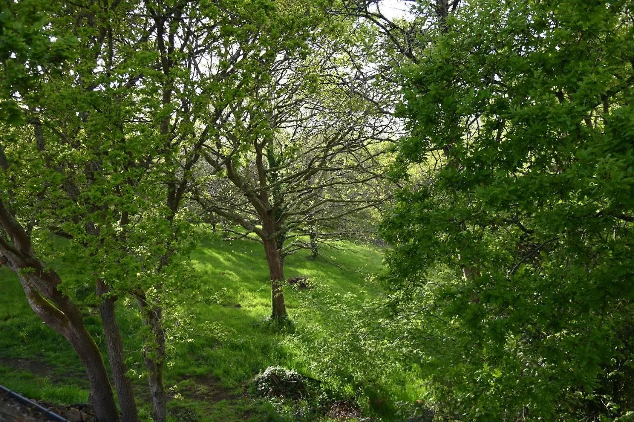 Aux Arbres Chanteurs Ploulech France